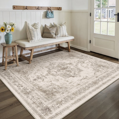 Oriental Area Rug