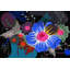 «Flower Power», reproduction sur toile tendue-69960130