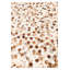 Tapis Ingurs