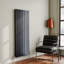 Carney Vertical Designer Radiator-846685954