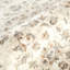 Tapis à motif de médaillon floral beige ivoire traditionnel Abani Rugs Giavonnie-1957235576