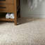 Veritas Terrazzo 16X16 Polished Terrazzo Tile-1209393946
