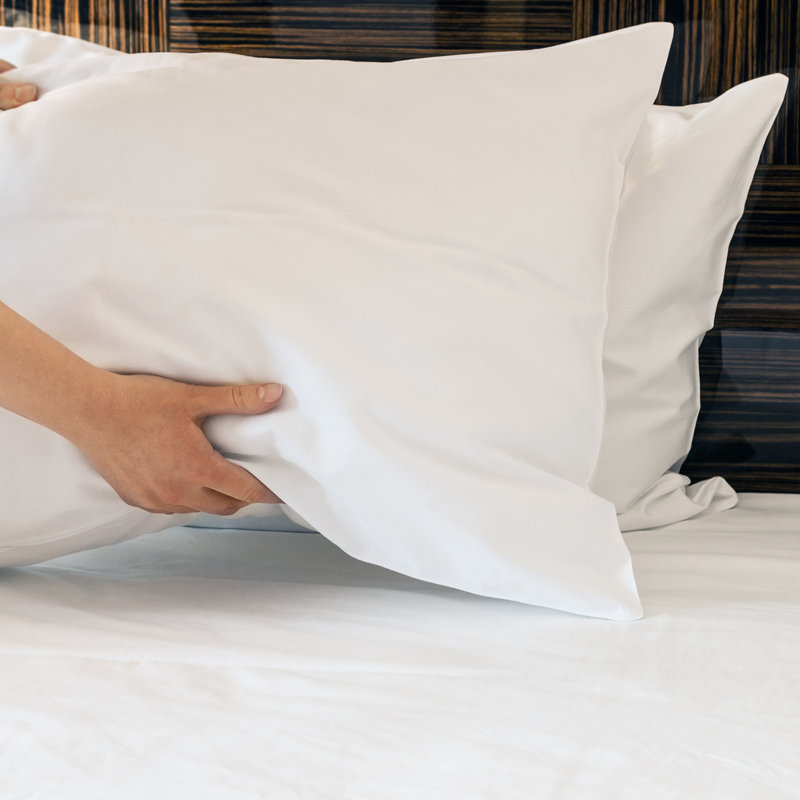 Arkwright Soft Hypoallergenic Cotton Blend T180 Pillowcases - Pack of 12 (Set of 12), Queen Pillowcase