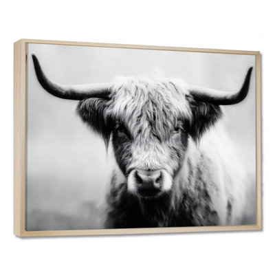Highland Cow, photographie en Écosse, reproduction d'art sur toile encadrée