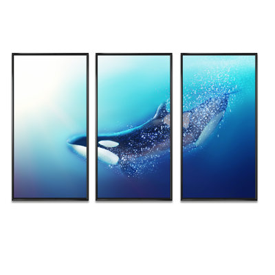 " Killer Whale And Sea " 3 - Pieces