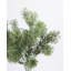 Faux Moss Branch