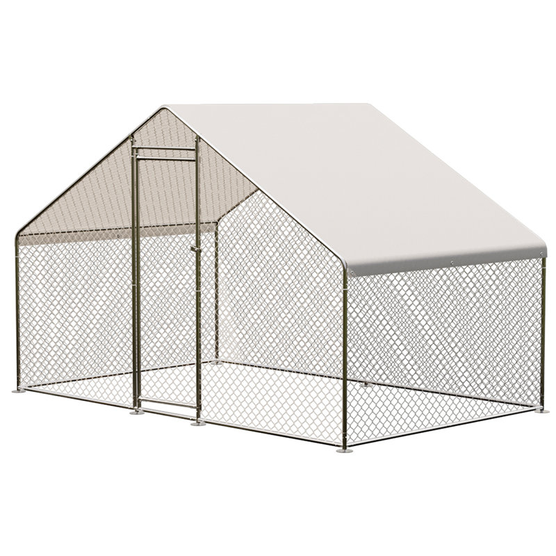 Elvezia Chicken Run