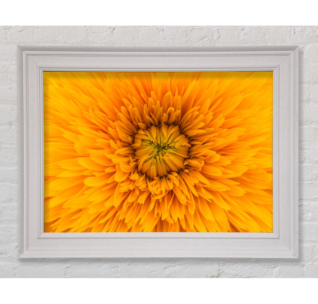 Gorgeous Yellow Flower Delight Gerahmter Druck