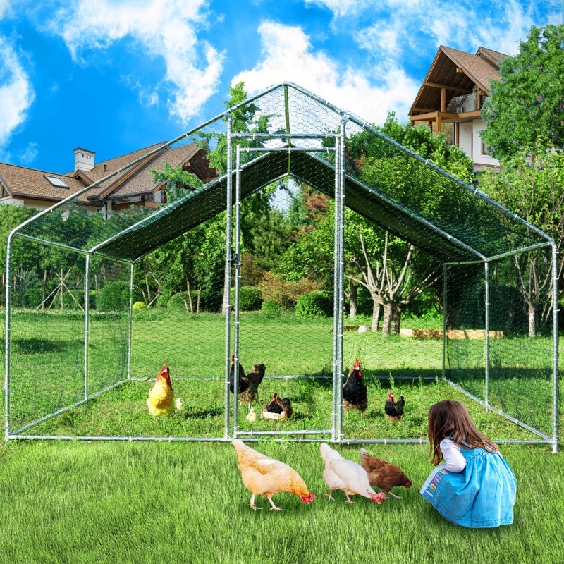 Chicken Run