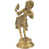 Brass Golden is out of stock