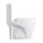 Dual-Flush Elongated One-Piece Toilet with High Efficiency Flush-72242060