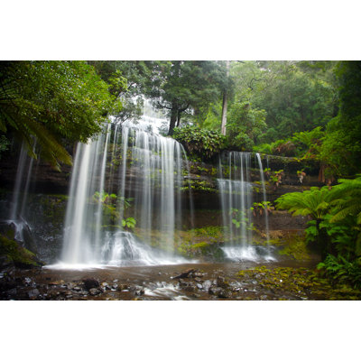 Russell Falls by Derekfsmith - Wrapped Canvas Print