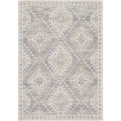Woodhouse Flatweave Cotton Southwestern Indoor Rug