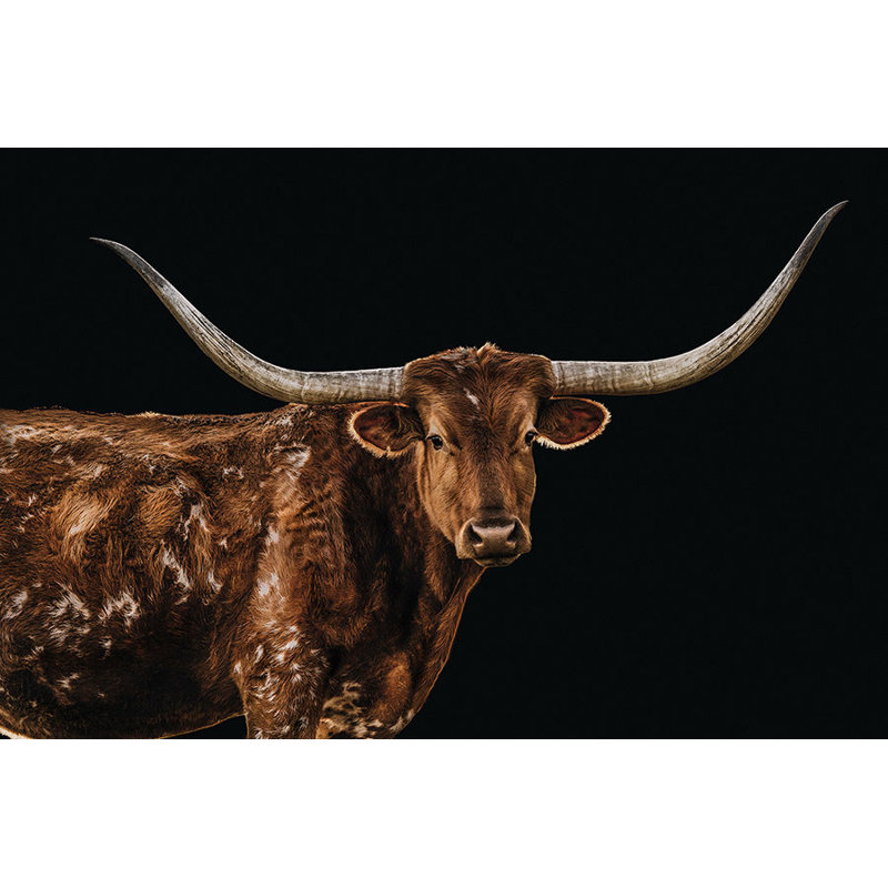 Bigger In Texas Print by Adam Mowery, Glass Coat