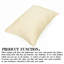 Taies d'oreiller pour tout-petits à fermeture à glissière, taies d'oreiller de voyage 100% microfibre brossée, 13 x 18 pouces - NTBAY-1417536327