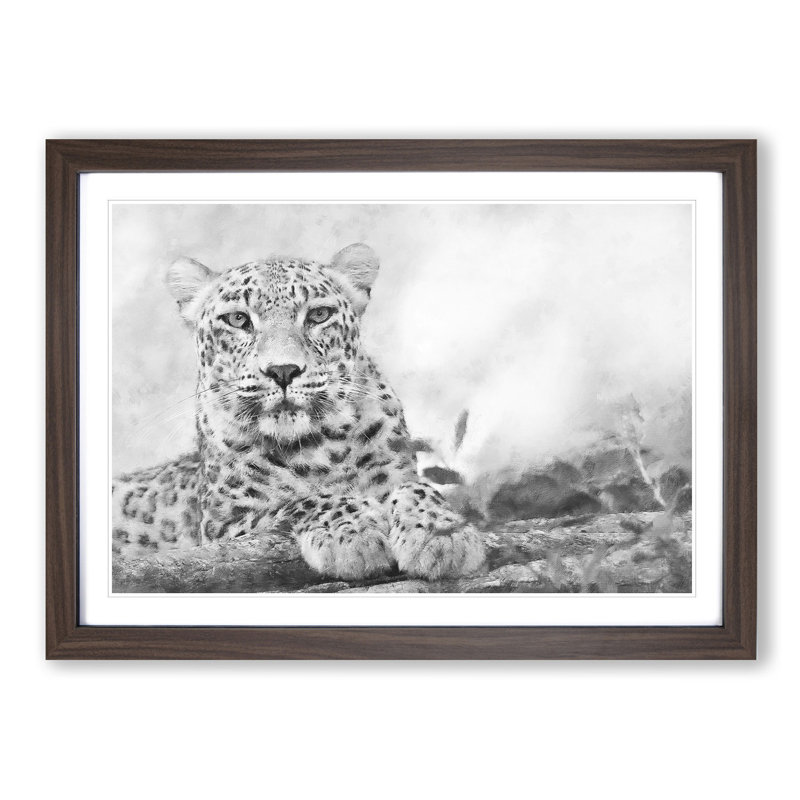 Leopard Resting - Picture Frame Photograph Print, 24cm H x 33cm W x 2cm D, Walnut Framed
