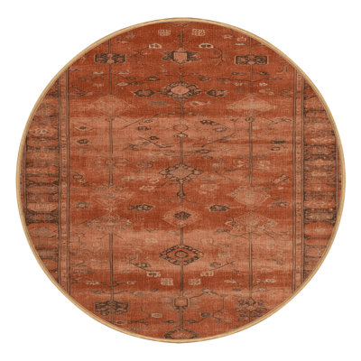Machine Washable Overdyed Brown Area Rug