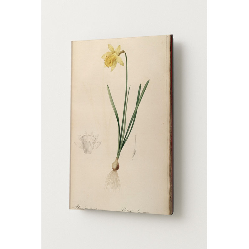 Narcisse Grande — Portrait en métal, H 30 po x l 20 po
