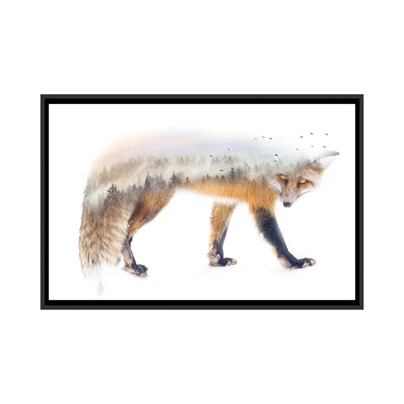 Nature Fox by Paul Haag - Print on Canvas, 66.04 cm H x 45.72 cm W, Black Framed