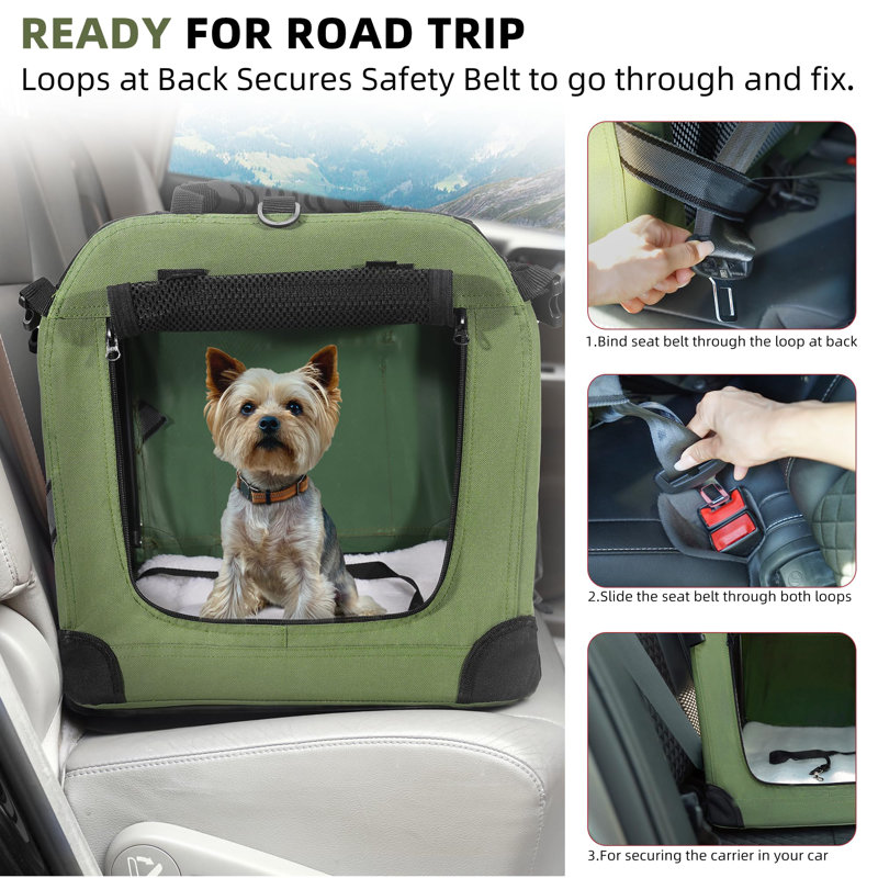Large Cat Carrier For 2 Cats Small Medium Dogs, Soft Pet Carrier 24X17x17 For Travelling With Warm Blanket Foldable Bowl And Washable Pad