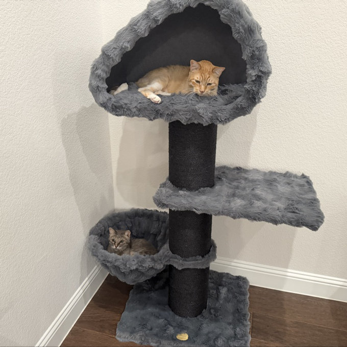 Modern Heavy Duty Cat Tree for Large Cat