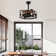 20.6" Caged Ceiling Fan With Lights And Remote Control