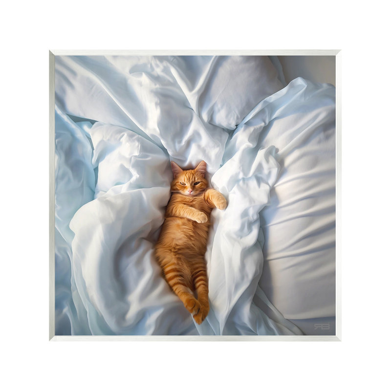 Art mural «Sprawled Orange Cat» par RB