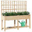 Garden Planter with Shelf Solid Fir Wood Outdoor Rectangular Box-398337849-398337850