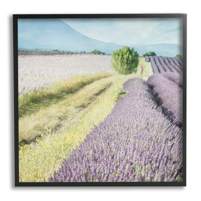Champ de lavande champêtre sur bois, impression, Giclée encadrée noir minuit, H 17 po x l 17 po x P 1,5 po