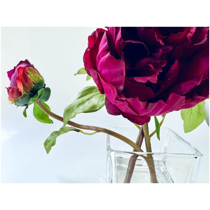 Peony Flower Arrangement in Glass Vase, Fuchsia Pink 