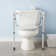 Toilet Safety Frame