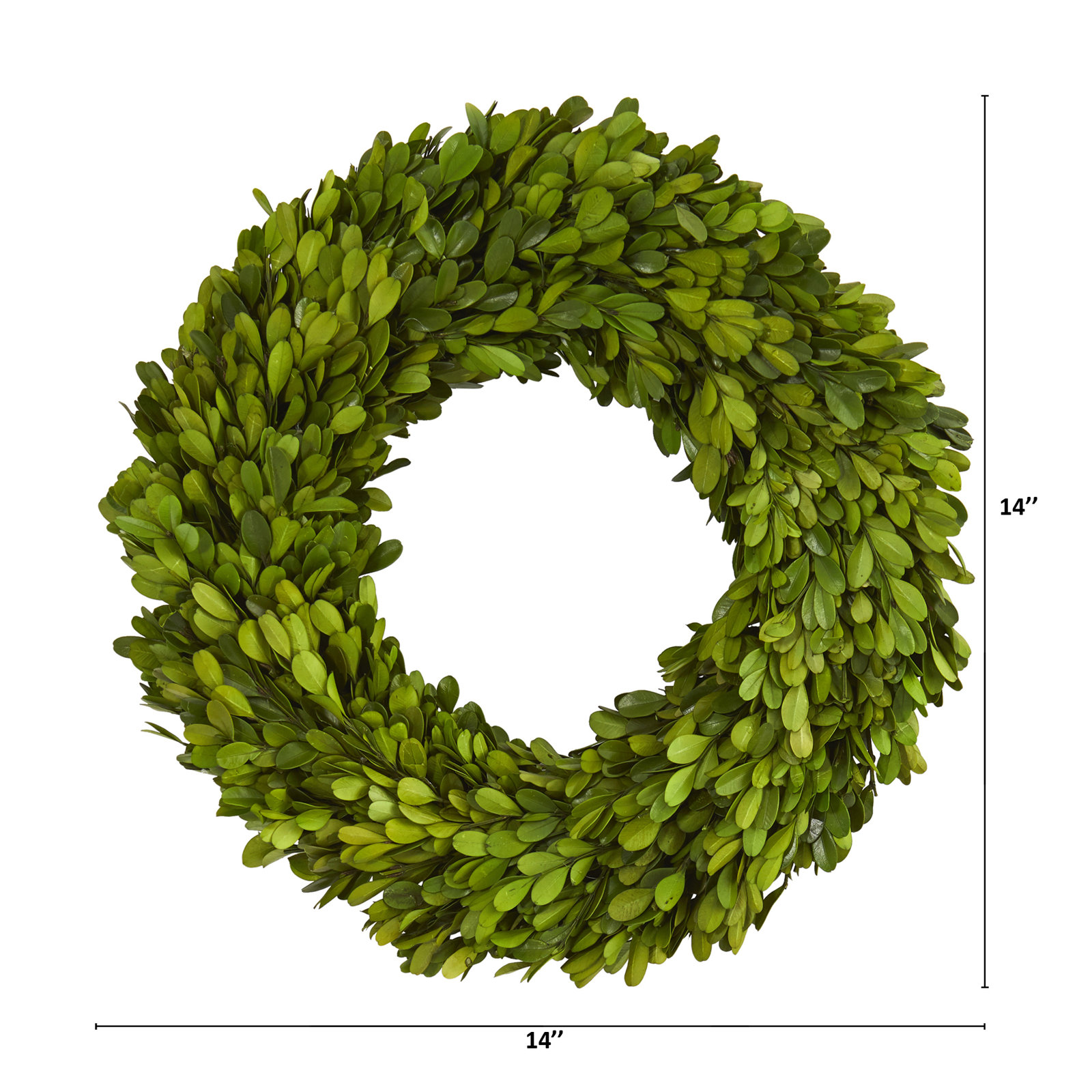 Preserved Boxwood Real Greenery Wreath, 14in.