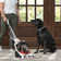 Hoover Powerdash Pet+ Compact Carpet Cleaner, Lightweight, FH50704V