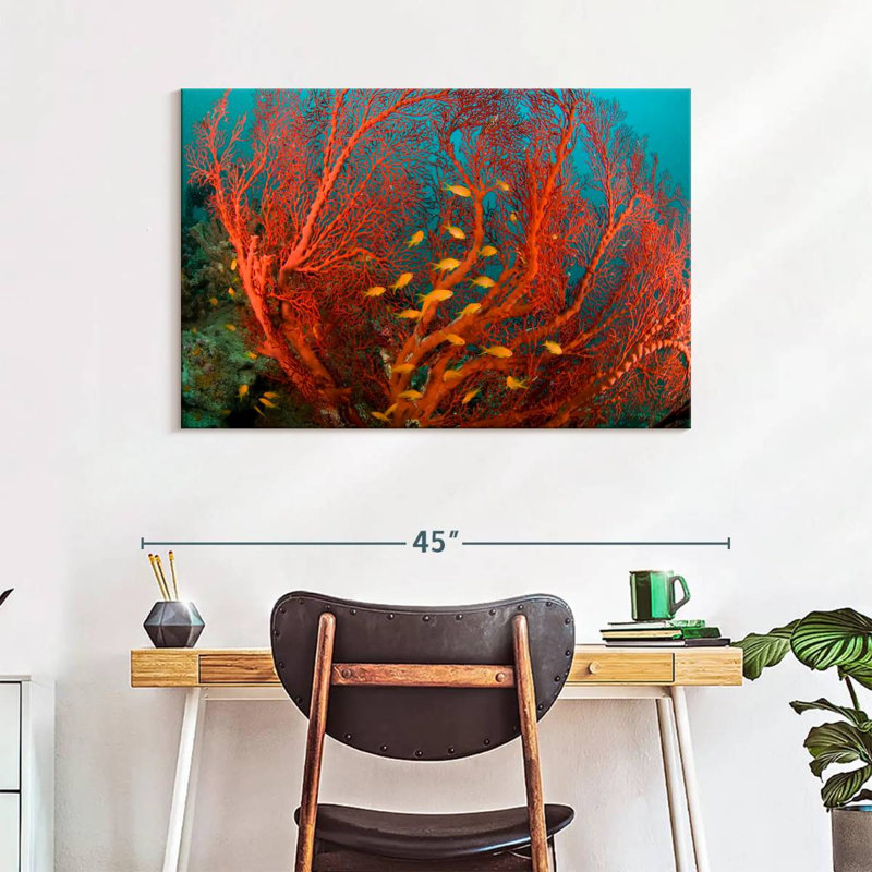 Fire Coral, 26" H x 39" W