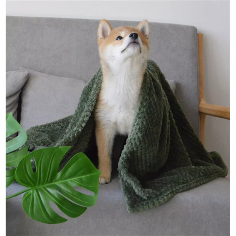 Couvertures pour chiens