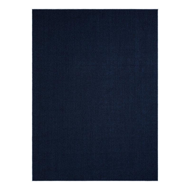 Chesire Indoor/Outdoor Area Rug, Rectangle 9' x 12'