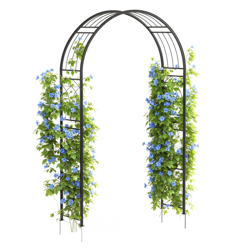 Tonnelle de jardin 8 pi en métal noir thermolaquée résistante à la rouille