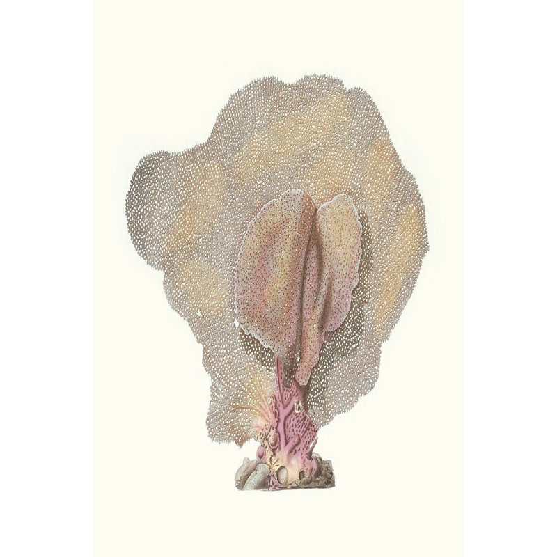 Terra Cotta Coral III - Wrapped Canvas Art Prints, 46cm H x 30cm W