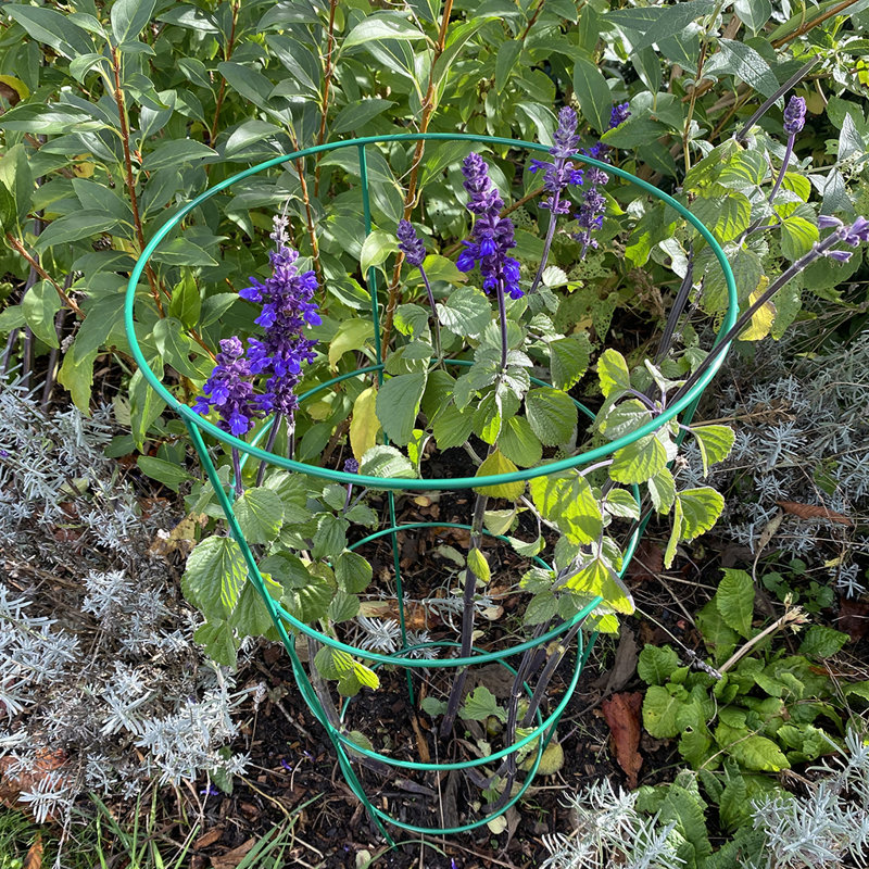 Aieden Metal Weather Resistant Plant Support, 75 x 32 x 32 cm