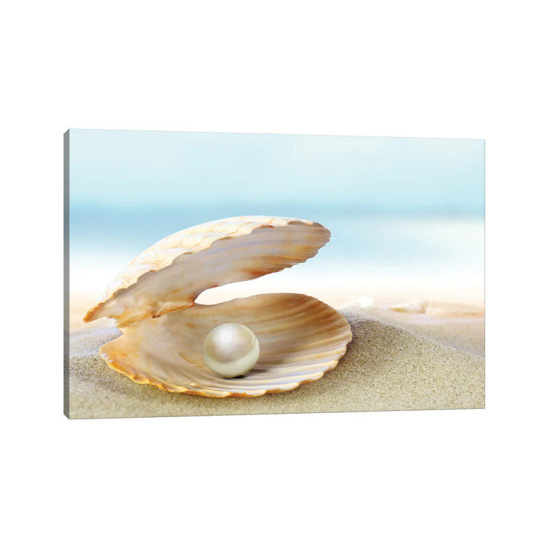«Shell with a perle» par lilas - Photographie sur toile tendue, H 12 po x l 18 po x 1,5 po