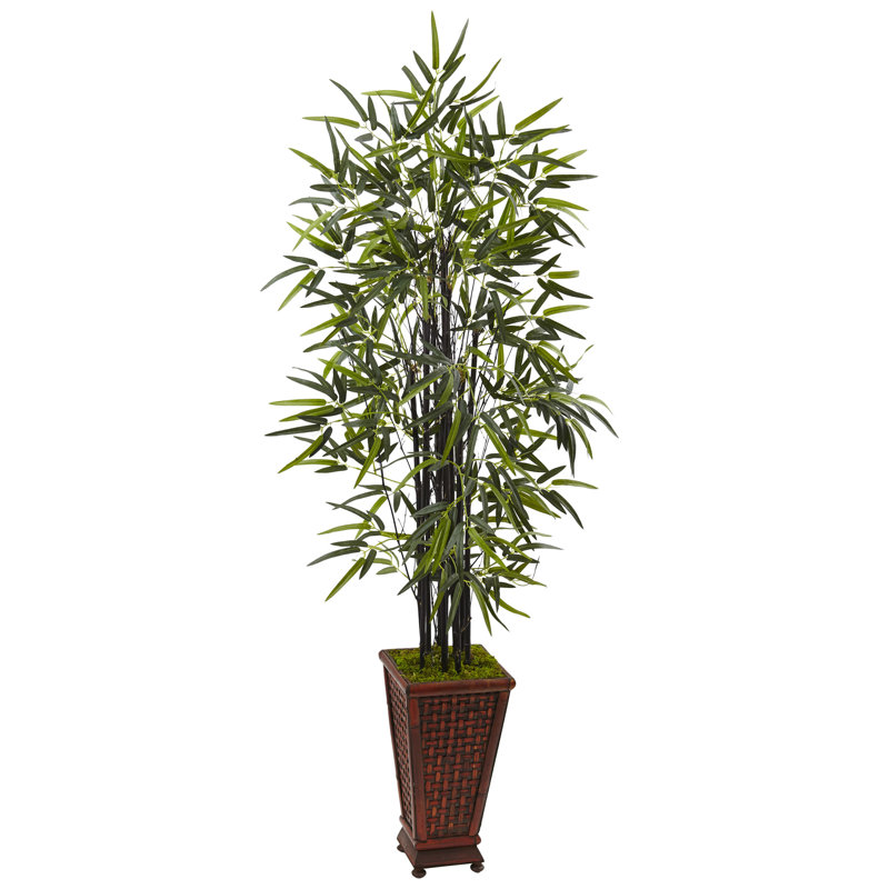 66'' Faux Bamboo Tree in Wood Planter
