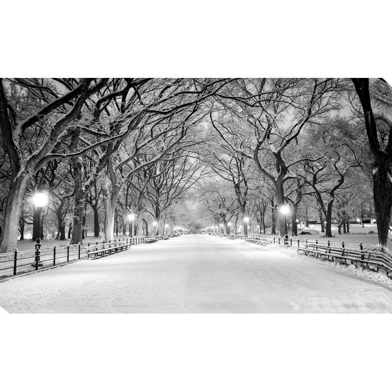 « winter park », reproduction de photo sur toile tendue, H 18 po x l 30 po x p 1 po
