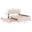 Lit plateforme tapissier avec lit gigogne-147892200