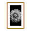 Nature Inspired Marigold by  - Picture Frame Photograph on Paper-81388030-131286326-131286332