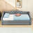 Terianna Twin XL Upholstery Daybed with Trundle and LED Belt-459671099
