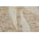 Wallace Modern Floral & Botanical Tan Area Rug