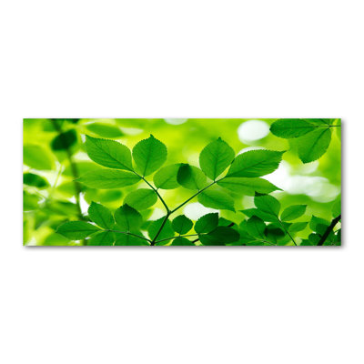 Green Leaves - Wrapped Canvas Print