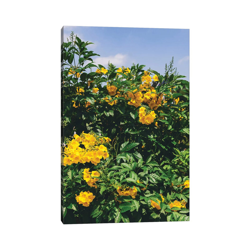 Austin Blooms by Bethany Young - Print on Canvas, Wrapped Canvas, 66.04cm H x 45.72cm W x 1.91cm D