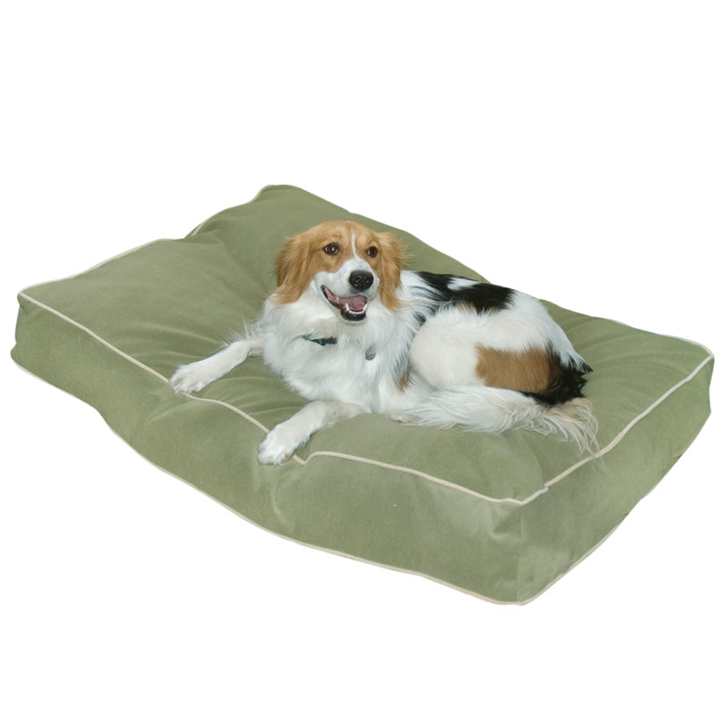 Lit pour chien Olivarez Classic, Moyen (L 42 po x l 30 po x H 6 po), Moss