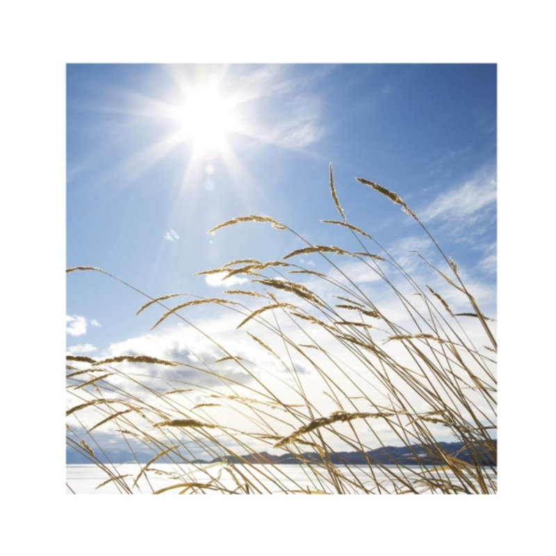 Beach Horizon Print by Henrik Lund, Outdoor, 30" H x 30" W
